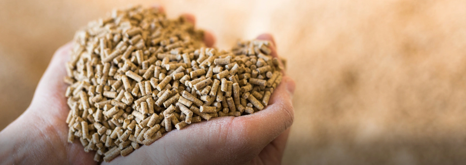 Feed Additives for Livestock & Poultry Health