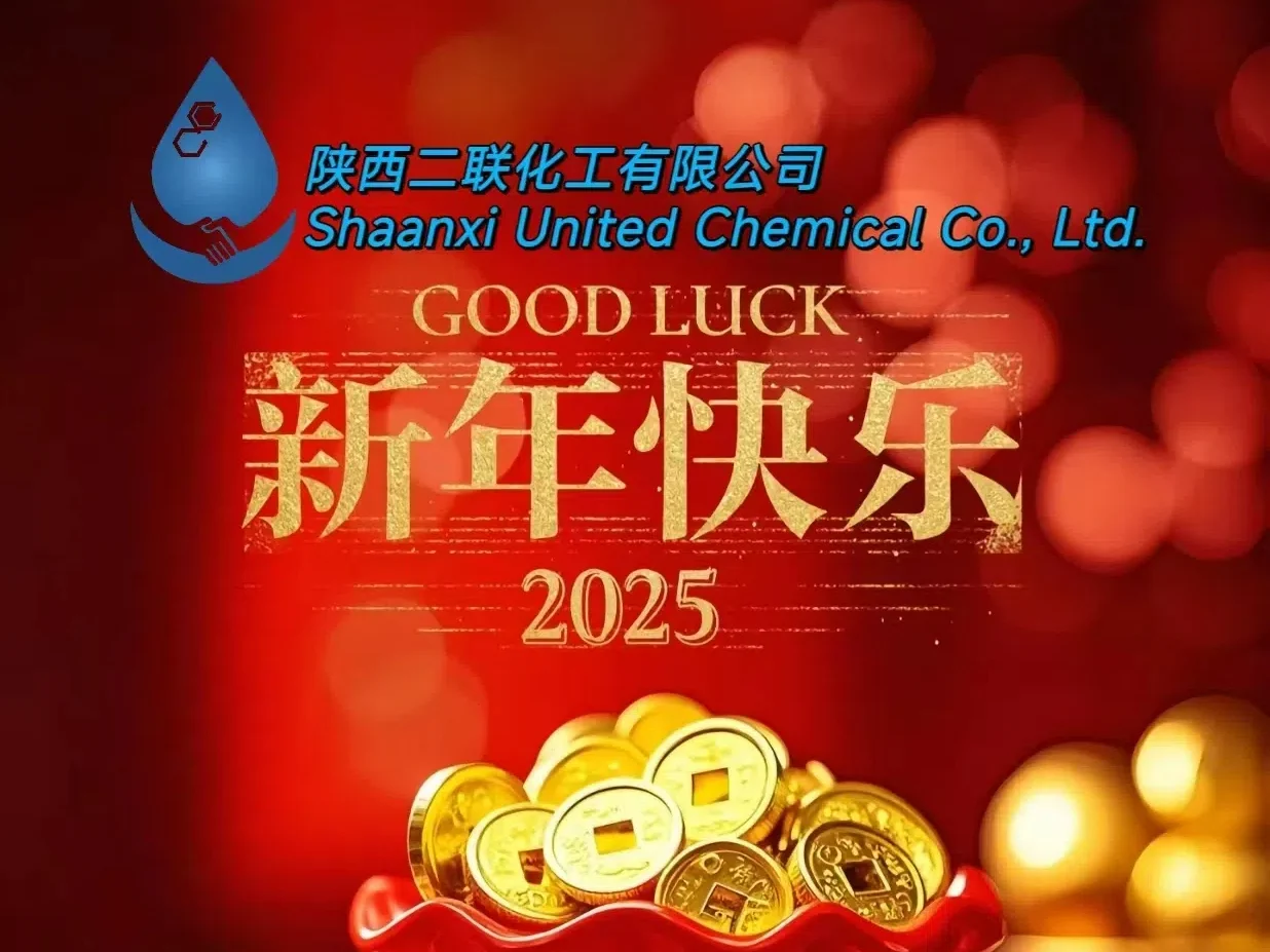 Shaanxi United Chemical Co. Ltd. 2025 Goals: A New Year of Ambition