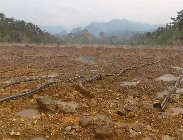 The Role of Sodium Cyanide in Mining: An In-Depth Analysis