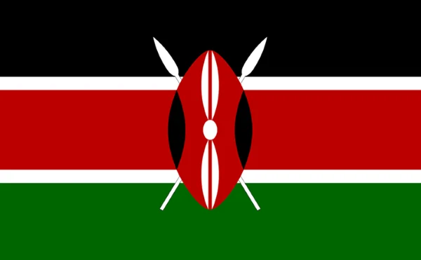 How to Purchase Sodium Cyanide from China and Import it Kenya? Chinese sodium cyanide supplier Kenya market Product quality qualifications Declaration Form (IDF) PVOC SGS inspection CoC certificate Hazardous chemical transportation Customs clearance Tariff tax No. 1picture