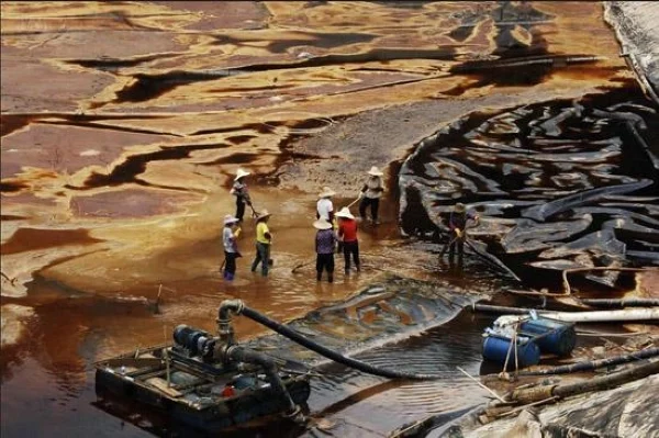Sodium Cyanide's Industrial Imperative vs. Environmental Catastrophe Natrium sianied Cyanide Hydrocyanic Acid Toll Regulatory Oversight Ecological Balance Green Alternatives No. 1picture