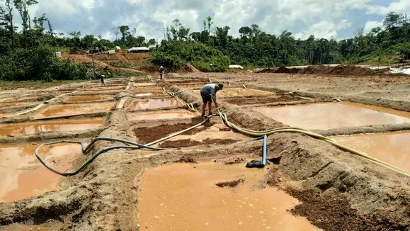 pH Value Control of Sodium Cyanide Solution in Heap Leaching for Gold Extraction