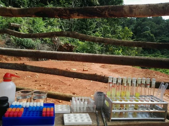 The Influence of the Coexistence of Sodium Cyanide and Sodium Chloride on Leaching