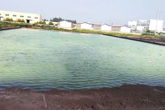 The Key Role and Advantages of Leaching Tanks in Mineral Processing