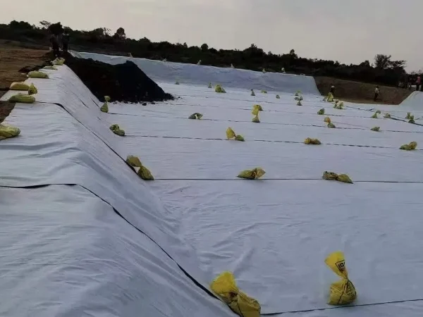 Selection of Heap Leaching Sites and Laying Bottom Liners Sodium cyanide leaching site No. 2picture Selection of Heap Leaching Sites and Laying Bottom Liners Sodium cyanide leaching site No. 2picture