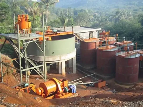 Operations of Cyanidation and Carbon-in-Pulp (CIP) Processes for Gold Extraction Sodium cyanide CIP Cyanide Concentration Leaching Rate No. 1picture Operations of Cyanidation and Carbon-in-Pulp (CIP) Processes for Gold Extraction Sodium cyanide CIP Cyanide Concentration Leaching Rate No. 1picture