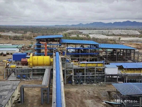 The Applications and Significance of Sodium Cyanide in Mineral Processing