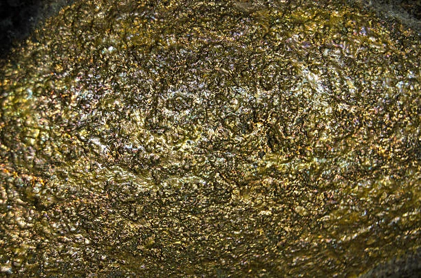 Chlorination Process for Treating Cyanide Gold Sludge Sodium cyanide chlorination process gold sludge No. 1picture Chlorination Process for Treating Cyanide Gold Sludge Sodium cyanide chlorination process gold sludge No. 1picture