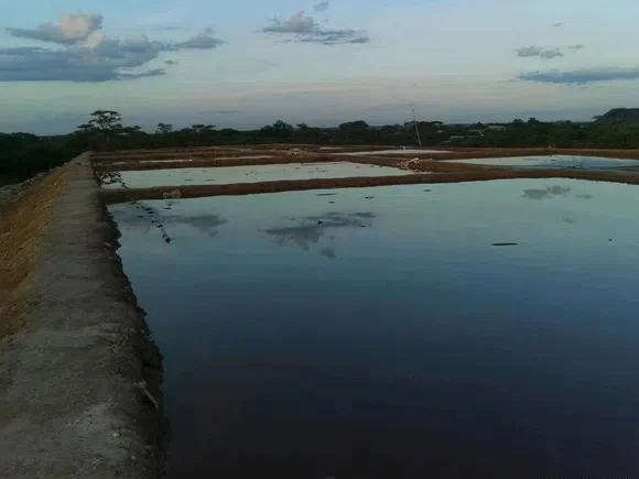 What is the Optimal Sodium Cyanide Concentration Range for Gold Leaching?