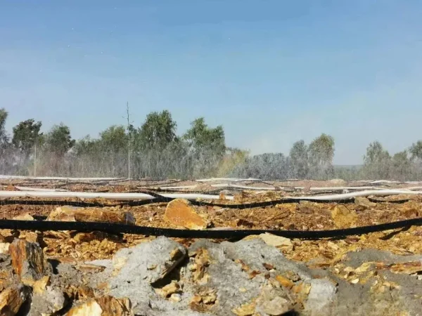 How to Adjust Sodium Cyanide Dosage According to Ore Particle Size?