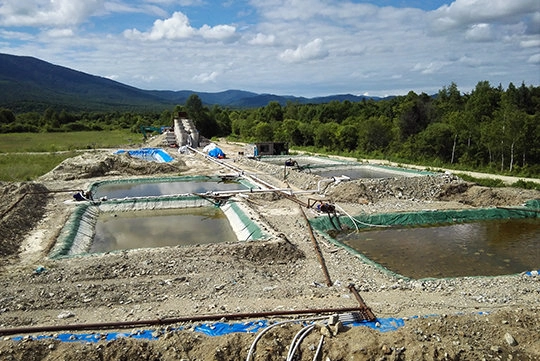 Optimizing the Efficiency of Sodium Cyanide in Vat Leaching