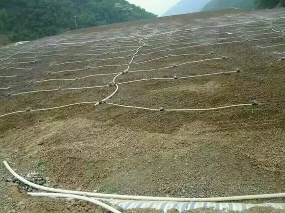 Important Considerations for the Application of Sodium Cyanide Leaching Agent