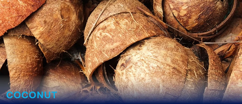 Optimizing Gold Recovery: The Role of Coconut Shell Activated Carbon in CIP, CIL, and CIC Processes gold recovery activated carbon coconut shell CIP CIL processes AuCyan™ AuCarb™ AC50 AC60 mining chemicals leaching adsorption high K-value attrition resistance United Chemical No. 1picture