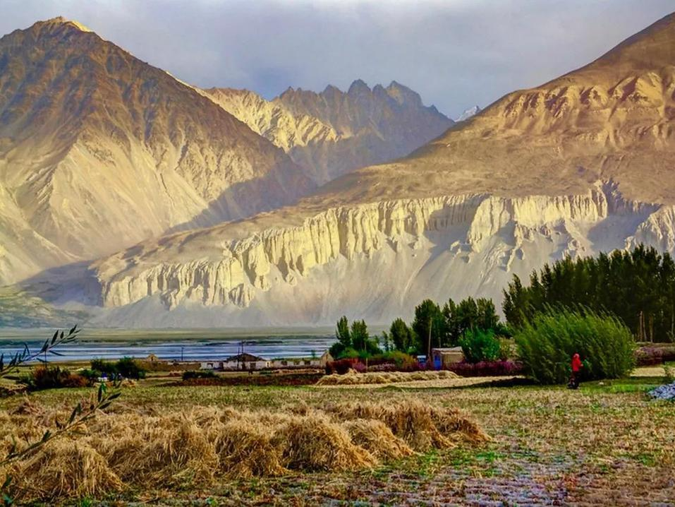 Advanced Gold Extraction Solutions for Tajikistan's Complex Ores
