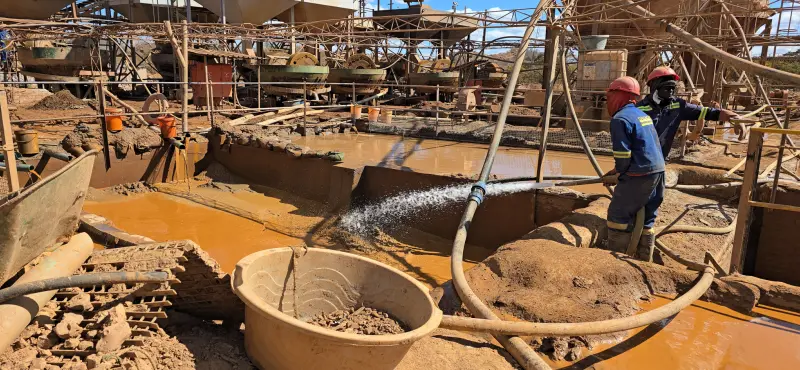 Integrated Gold Extraction Solutions for Zimbabwe's Greenstone Belts